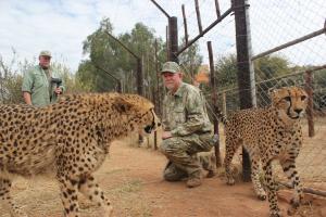 Cheetah  - A little more intimidating at eye level