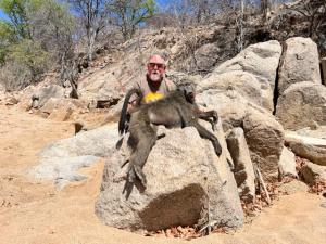 Chacma baboon