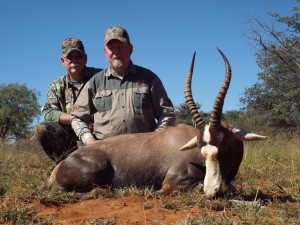 Blesbok