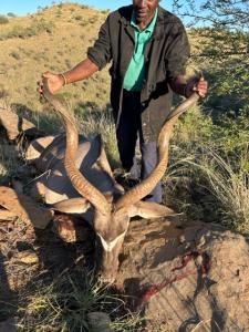 Luke's Kudu