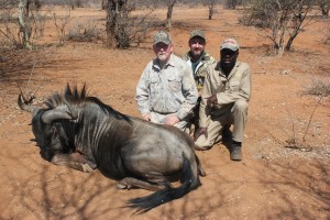 Blue Wildebeest, August 13, 2015     