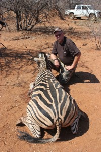 Burchell's Zebra, August 19, 2015     