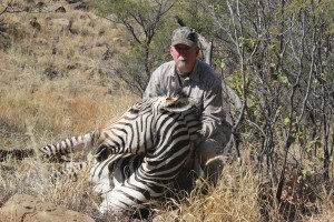 Mountain Zebra   