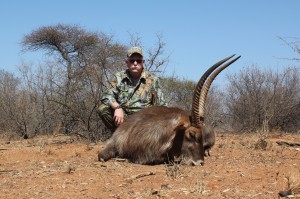 Waterbuck, August 20, 2015     