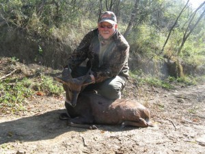 Bushbuck 